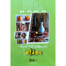 美术高考实用图库系列：疯狂照片·色彩1