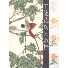 工笔花鸟画教程