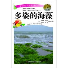 多姿的海藻