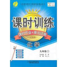 课时训练·课时作业+单元试卷:化学·9年级上(沪教版)