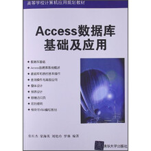 高等学校计算机应用规划教材：Access数据库基础及应用