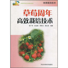 草莓周年高效栽培技术
