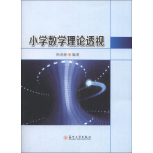 小学数学理论透视
