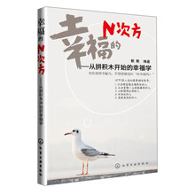 幸福的N次方：从拼积木开始的幸福学