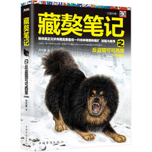 藏獒笔记之反盗猎可可西里（结局篇）