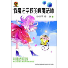 假魔法学校的真魔法师