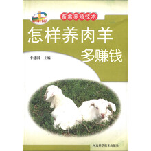 畜禽养殖：怎样养肉羊多赚钱