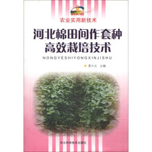 河北棉田间套种技术