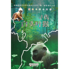 我的七彩大自然：寻找包头叶猴