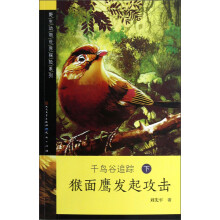 猴面鹰发起攻击:千鸟谷追踪(下)