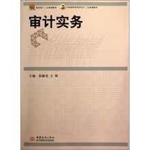 中国国际贸易学会十二五规划教材：审计实务
