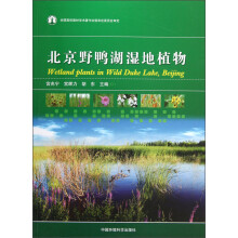 北京野鸭湖湿地植物