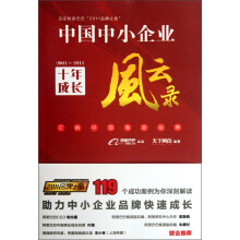 中国中小企业十年成长风云录（2001-2011）