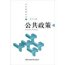公共管理丛书：公共政策（2013版）
