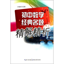 初中数学经典名题精解精析