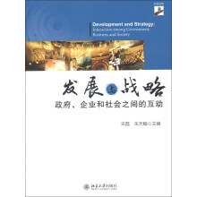 发展与战略：政府、企业和社会之间的互动