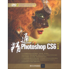 精通Photoshop CS6中文版（附DVD-ROM光盘1张）