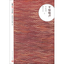 朝内166人文文库·中国当代长篇小说：平原枪声