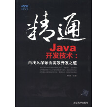 精通Java开发技术：由浅入深领会高效开发之道（附光盘1张）