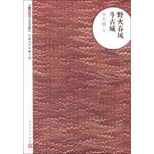 朝内166人文文库·中国当代长篇小说：野火春风斗古城