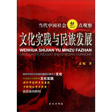 当代中国社会热点观察：文化实践与民族发展