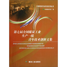 中国煤炭学会科技系列丛书：第七届全国煤炭工业生产一线青年技术创新文集