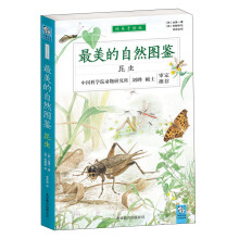 最美的自然图鉴：昆虫（纯美手绘版）