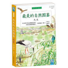 最美的自然图鉴：鸟类（纯美手绘版）