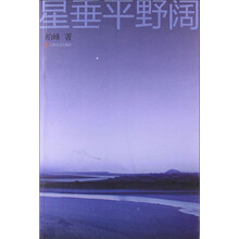 星垂平野阔