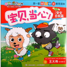 喜羊羊与灰太狼第一套幼儿安全教育读本：宝贝，当心！（家庭安全篇）