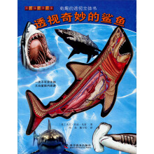 有趣的透视立体书：透视奇妙的鲨鱼