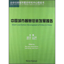 中国城市智慧低碳发展报告