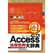 Access VBA活用范例大辞典(附CD光盘1张)