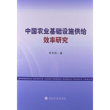 中国农业基础设施供给效率研究