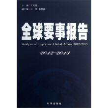 全球要事报告（2012-2013）
