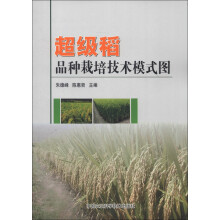 超级稻品种栽培技术模式图