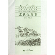 城镇化案例