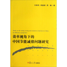 效率视角下的中国节能减排问题研究