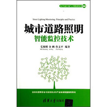 电子信息与电气工程技术丛书：城市道路照明智能监控技术