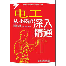 技能培训快学速用系列：电工从业技能深入精通
