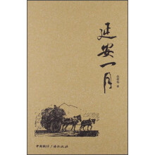 延安纪实·延安一月