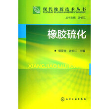现代橡胶技术丛书：像胶硫化