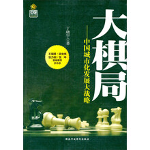 大棋局：中国城市化发展大战略