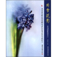 非常花影(摇动相机拍花卉)