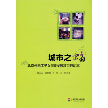 城市之蝠：北京外来工子女健康发展项目行动志
