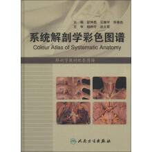 系统解剖学彩色图谱