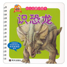 幼儿启蒙识图卡：识恐龙