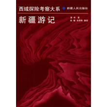 西域探险考察大系:新疆游记