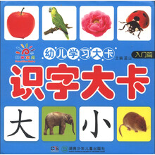 幼儿学习大卡·识字大卡：入门篇