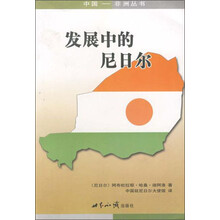 发展中的尼日尔